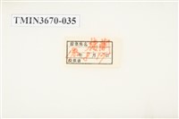 叩頭蟲(1)藏品圖，第4張